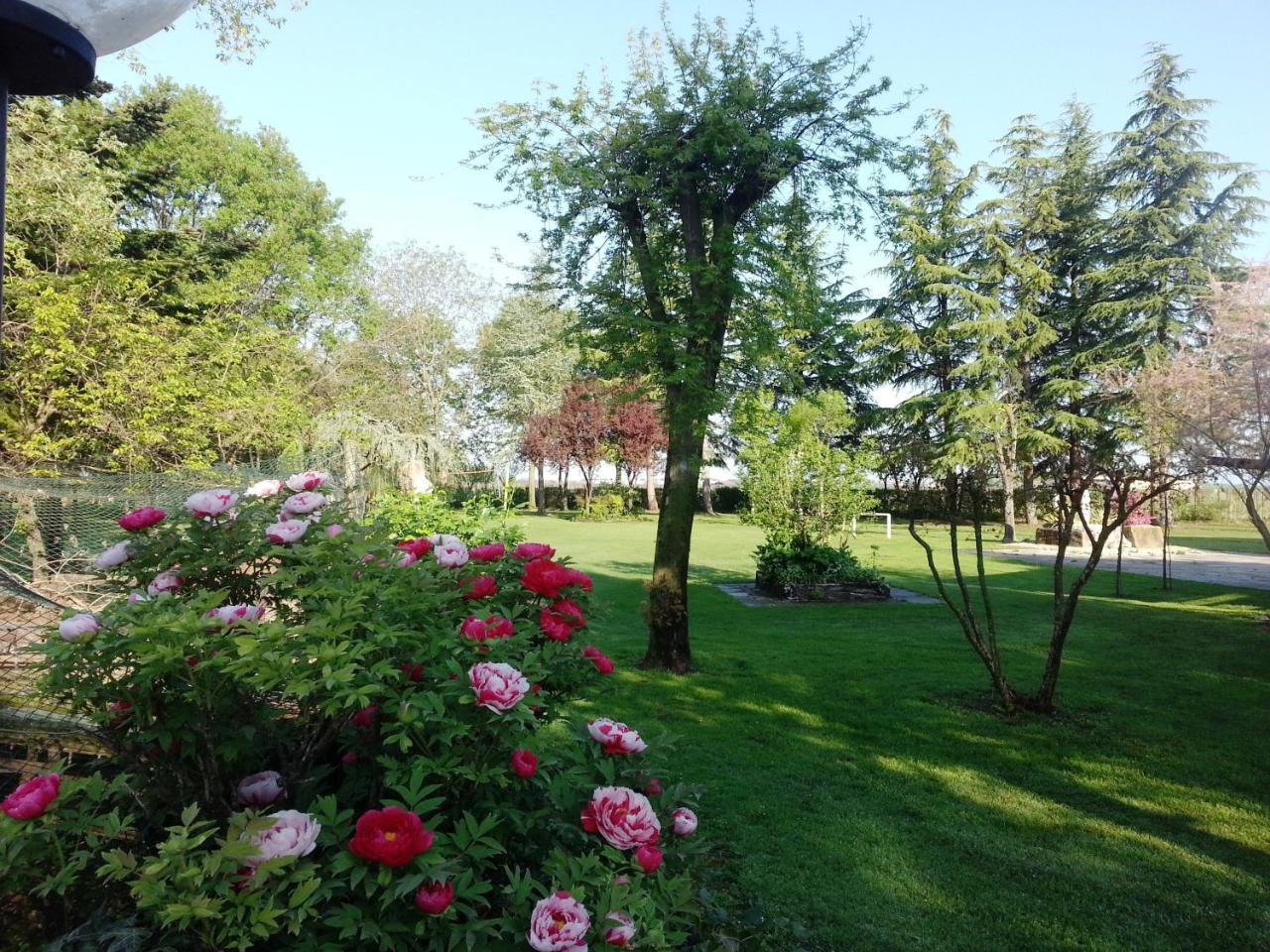 Dogana Vecchia - Hotel & Residence B&B Ristorante & Pizzeria Trivignano Udinese Екстериор снимка
